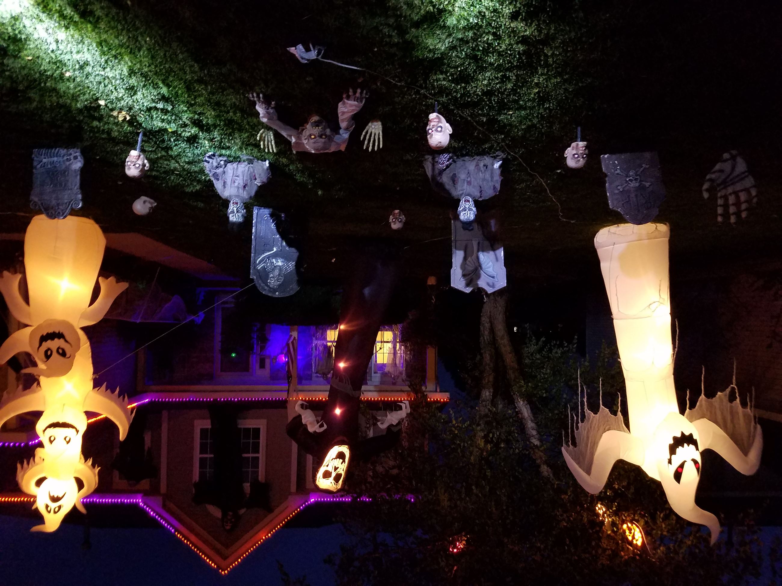 Halloween Contest 2019