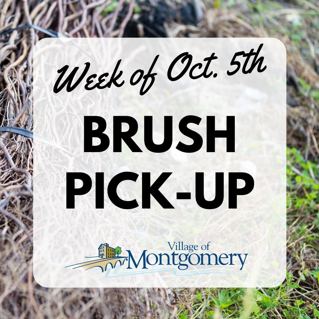 Brush Pickup Fall 2020
