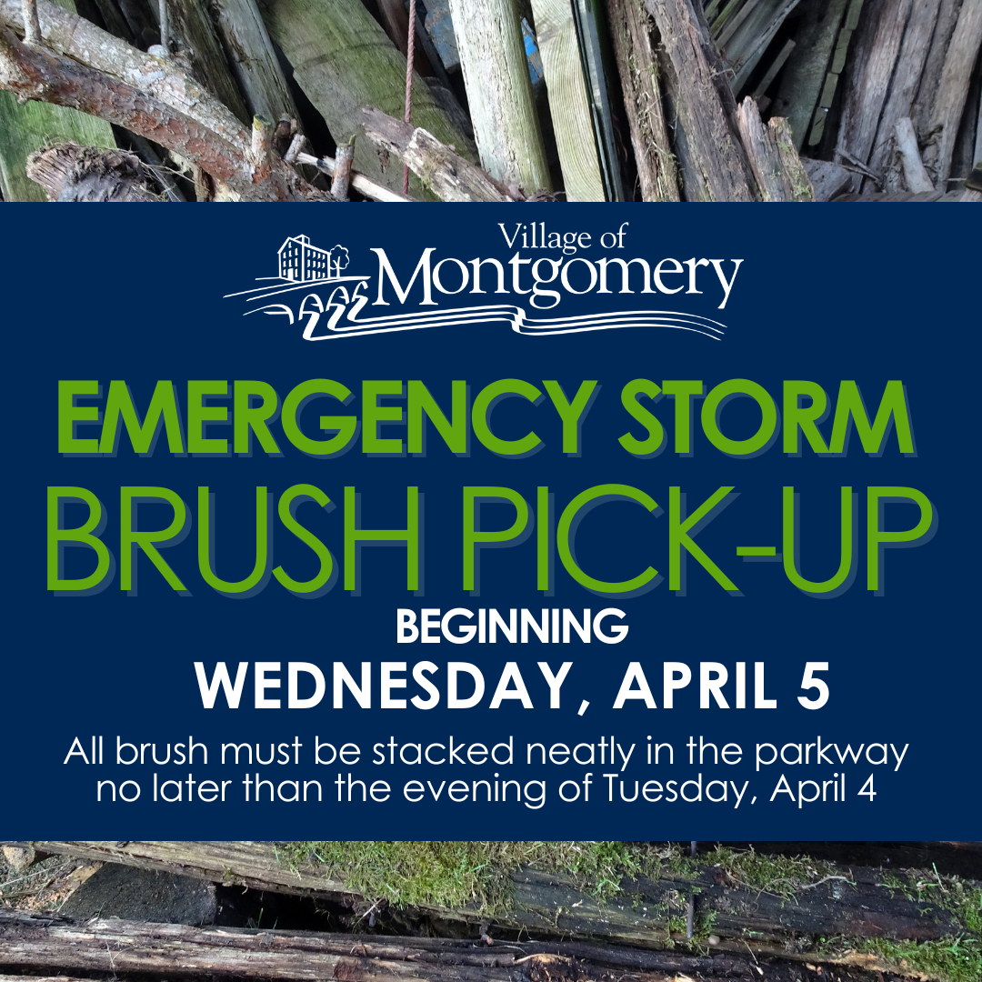 Extreme Storm Brush Pick Up